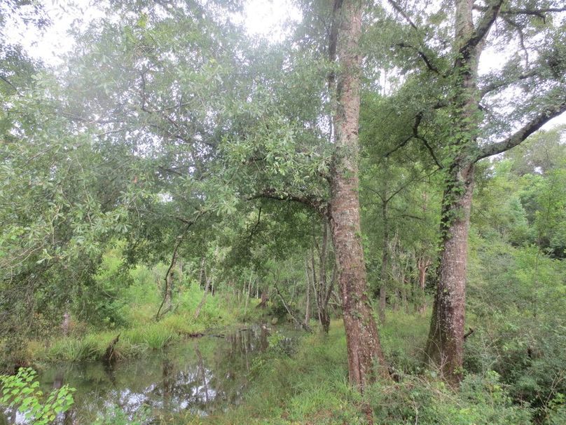 D5E154B8-0169-4073-8DDA-A514BEDDC1D5_1_105_c