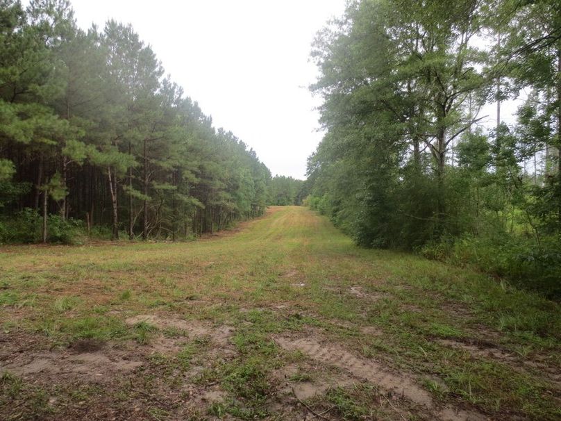 46FA8902-829A-4F4E-84CB-F073A7890C7D_1_105_c