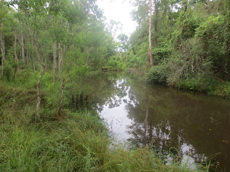 CA06B59A-AA58-4260-9C9F-287004EEB3AA_1_105_c