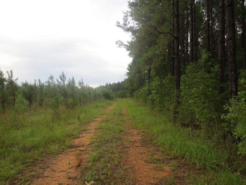 437BA3FC-78C0-477F-8350-79E2384E4219_1_105_c