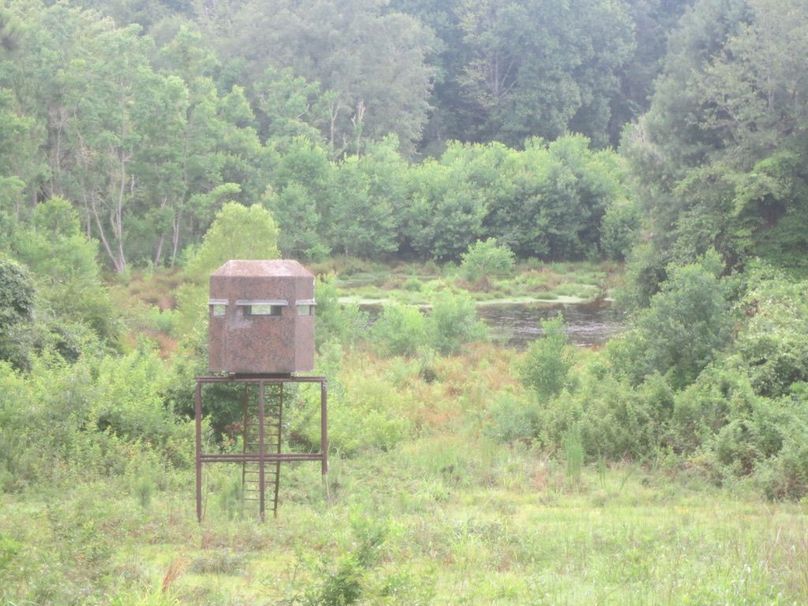 EF2400B5-C9C7-4378-BC3F-D55742397AC9_1_105_c