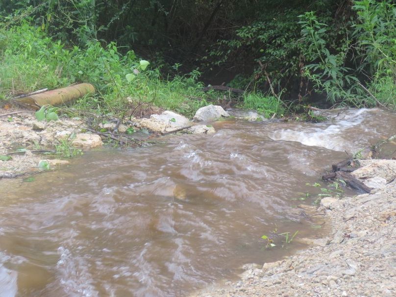 972745B1-01A0-413B-91E5-58848F7929F0_1_105_c