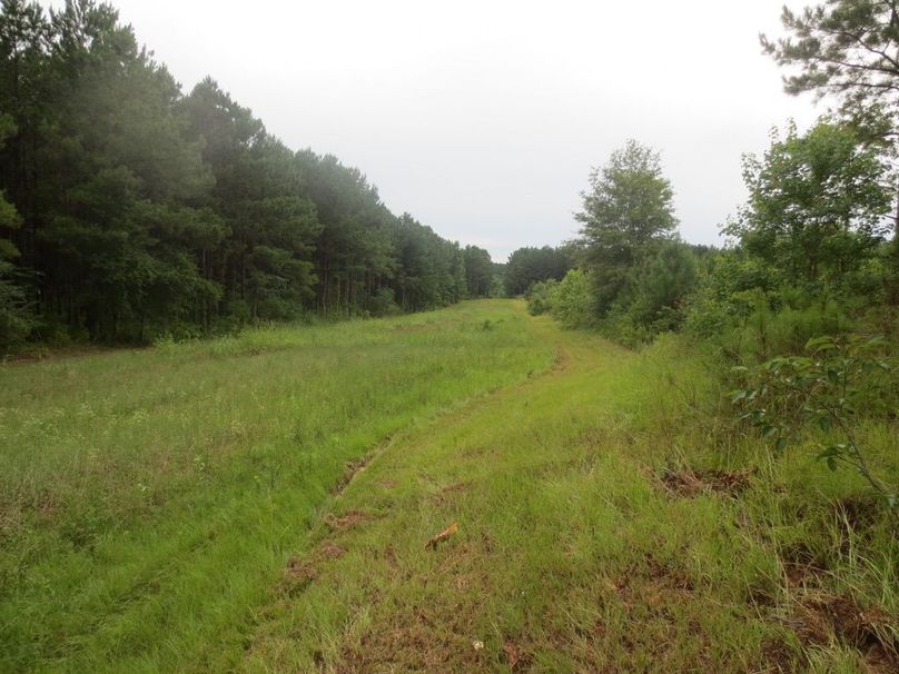 233A18BC-7889-487A-8FA6-113D12CDE7A5_1_105_c