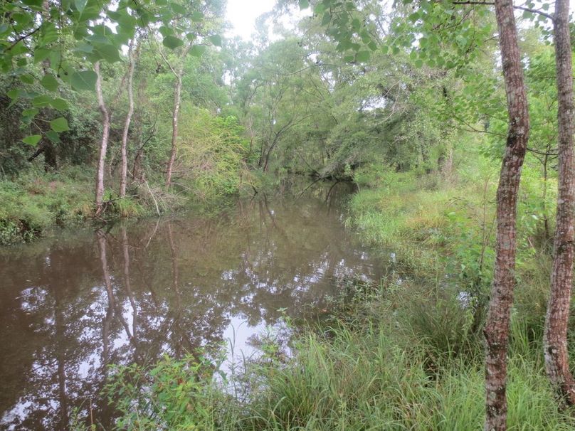 0E7E0508-9FFB-4682-8276-CBD4FC3CA317_1_105_c