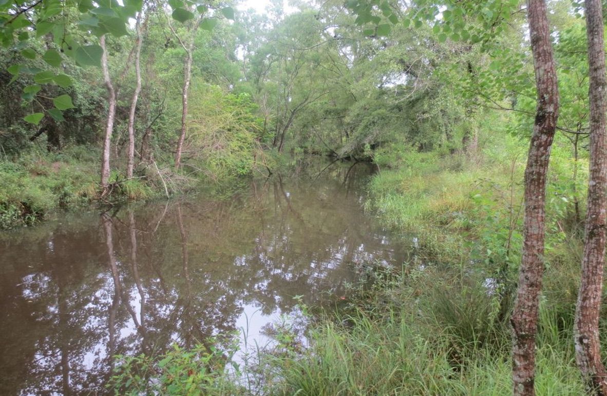 0E7E0508-9FFB-4682-8276-CBD4FC3CA317_1_105_c