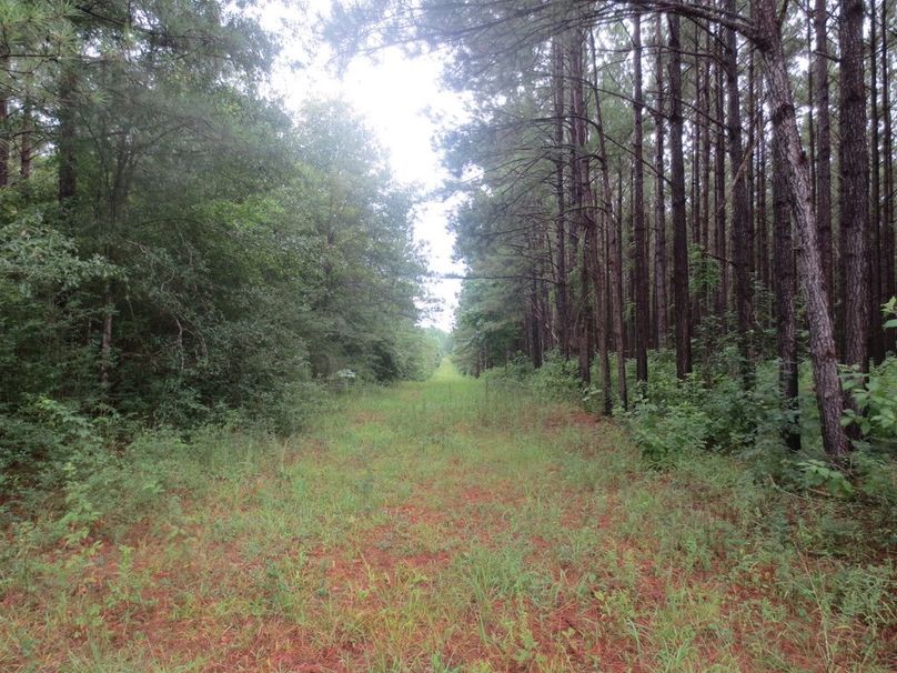 3B0047C6-8DC3-40A4-B6F3-846F47404967_1_105_c