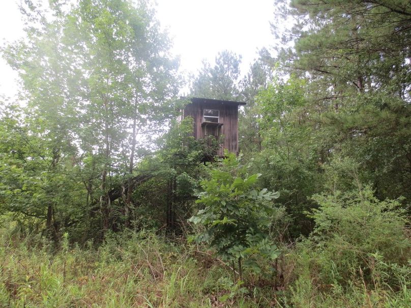 8E84D7A8-57AD-4643-B306-E88BDB9B7C52_1_105_c