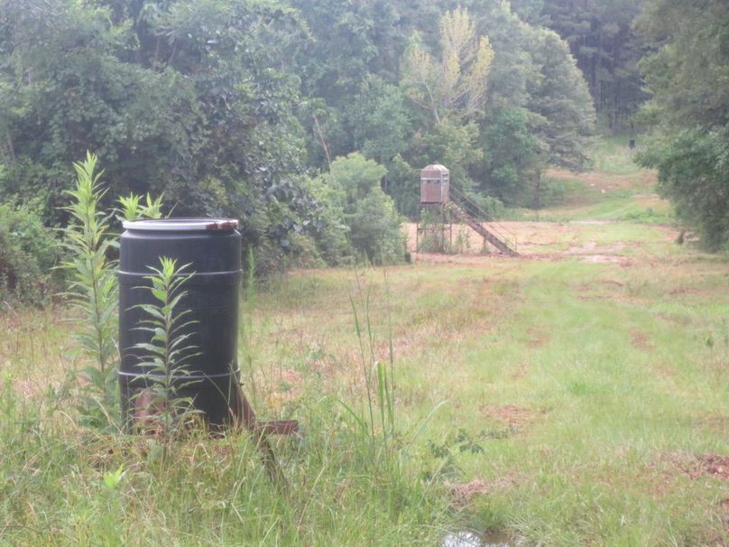 2B76C5EC-261B-4CB6-B76C-27E167C43922_1_105_c