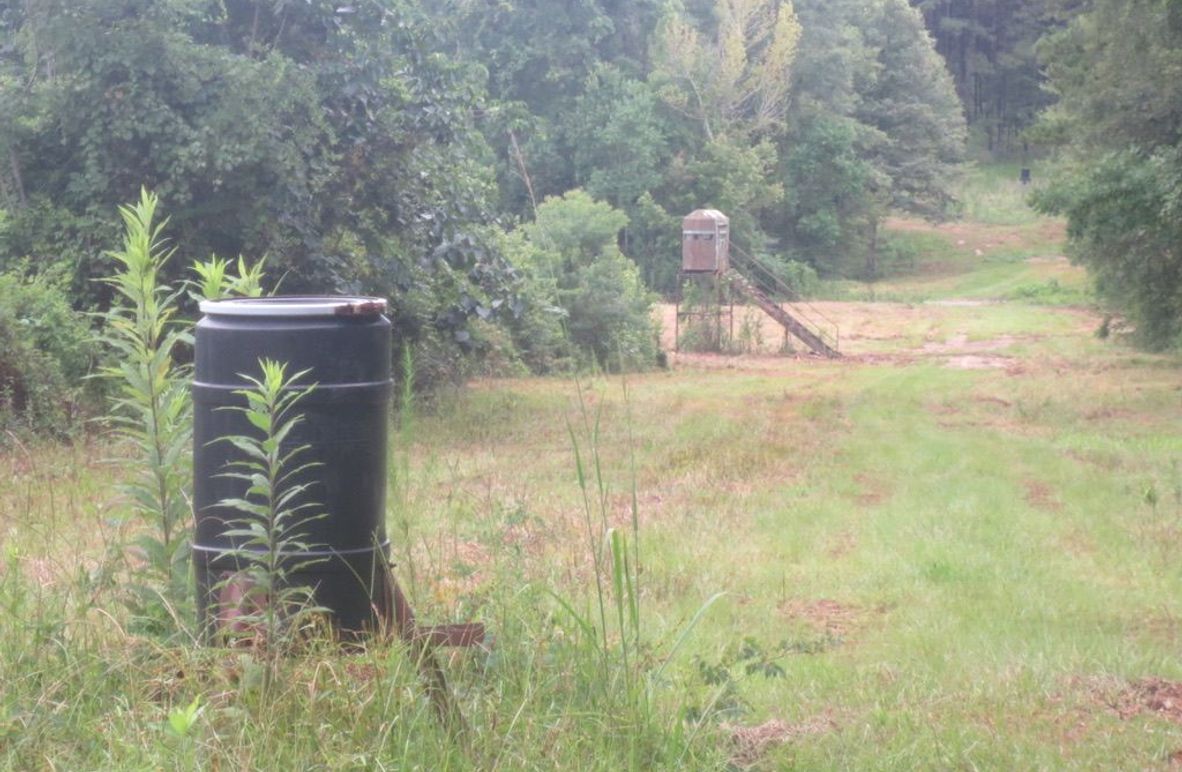 2B76C5EC-261B-4CB6-B76C-27E167C43922_1_105_c