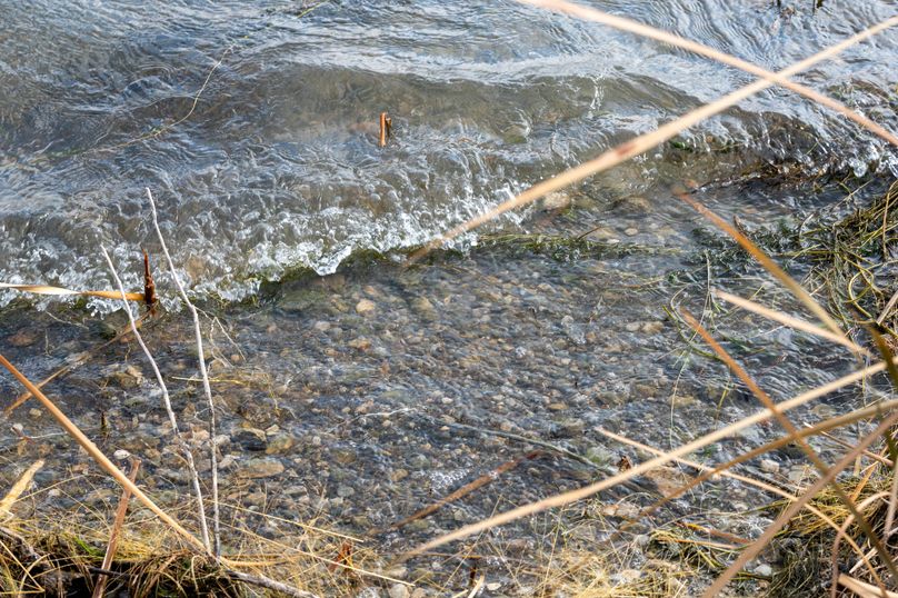 18. solid lake bottom