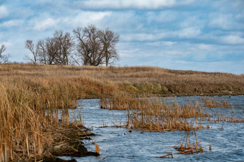 8. water edge looking N