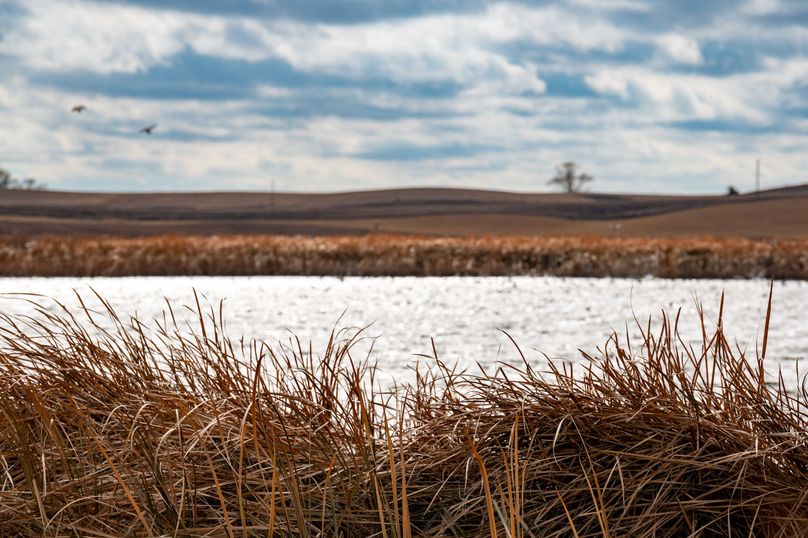 21. south side of property looking south