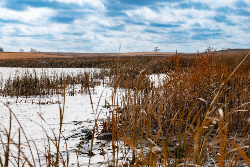 20. water edge looking S