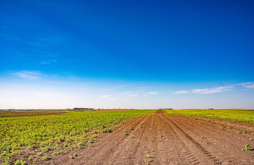 25. western property line