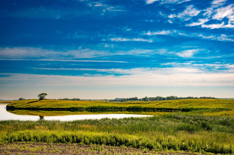 41. view of peninsula