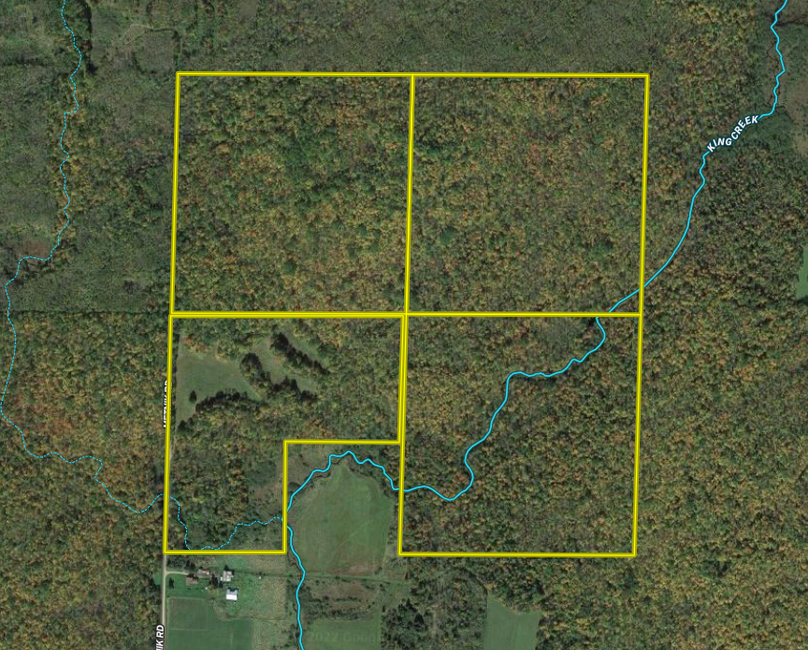 Screen Shot 2022-07-12 at 2.33.47 PM