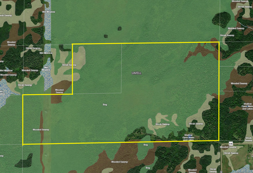TBD Tark Rd. National Wetland Layer on St. Louis Co. Land Explorer