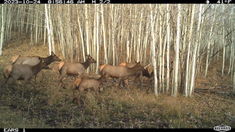 Copy of IMG_20240425_104212