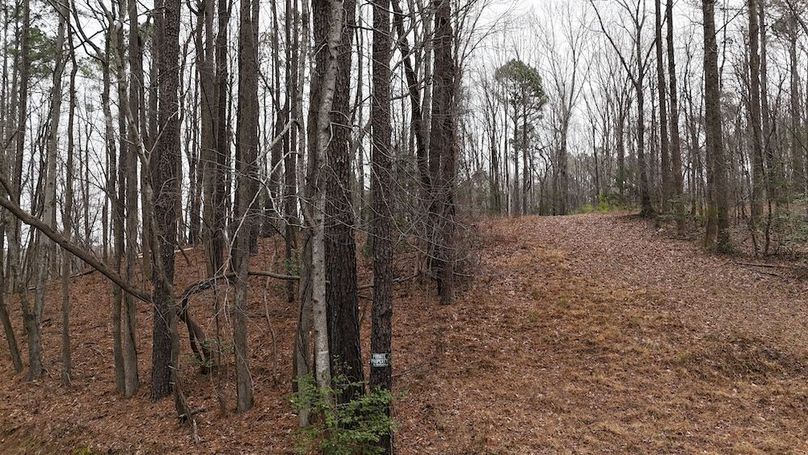 dji_fly_20260225_113940_0133_1772037648491_photo