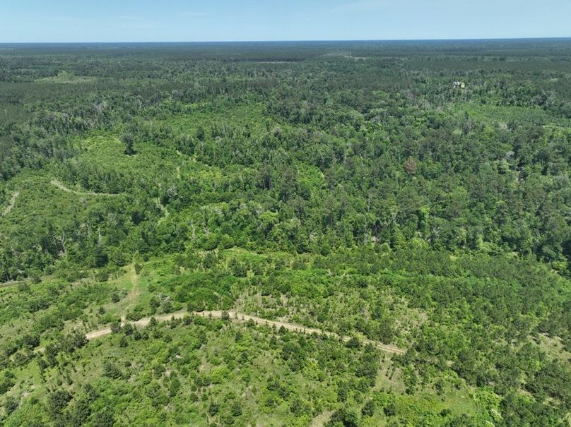 dji_fly_20250522_161352_231_1747959623579_photo
