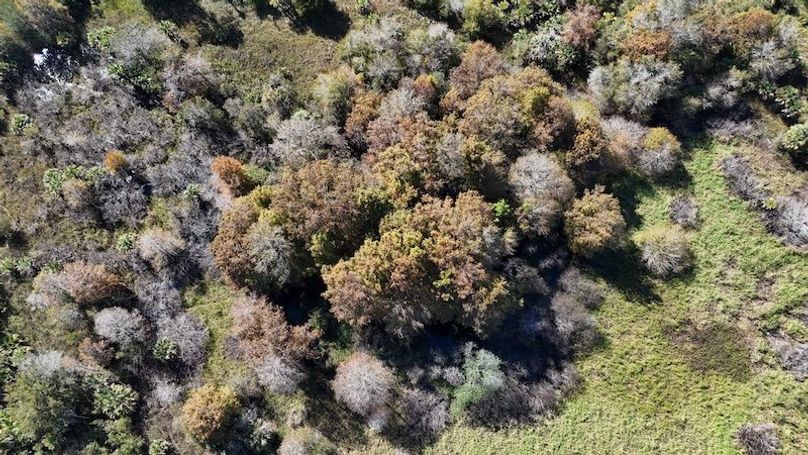 DJI_20251121122324_0022_D