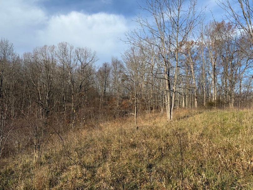 022 more of the old field growth providing great transition zones