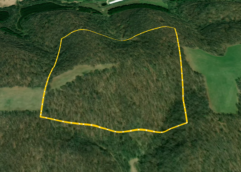 Screen Shot 2022-08-30 at 4.07.45 PM