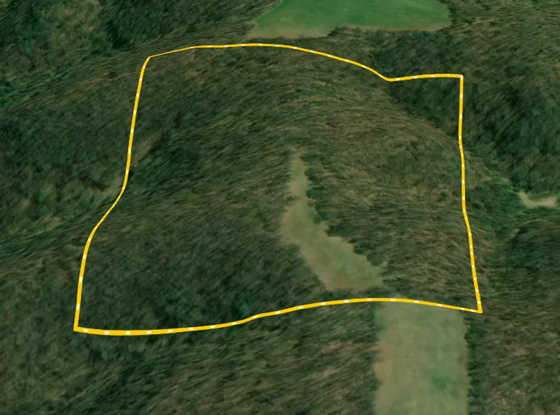 Screen Shot 2022-08-30 at 4.07.24 PM