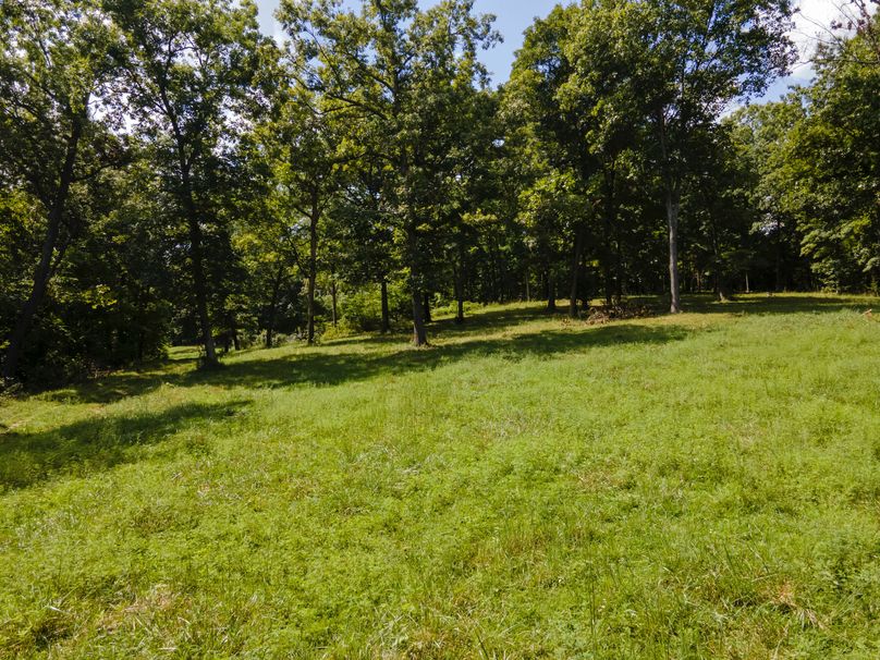 David St. Elizabeth 0008