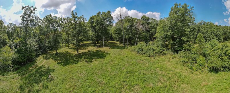 David St. Elizabeth 0009