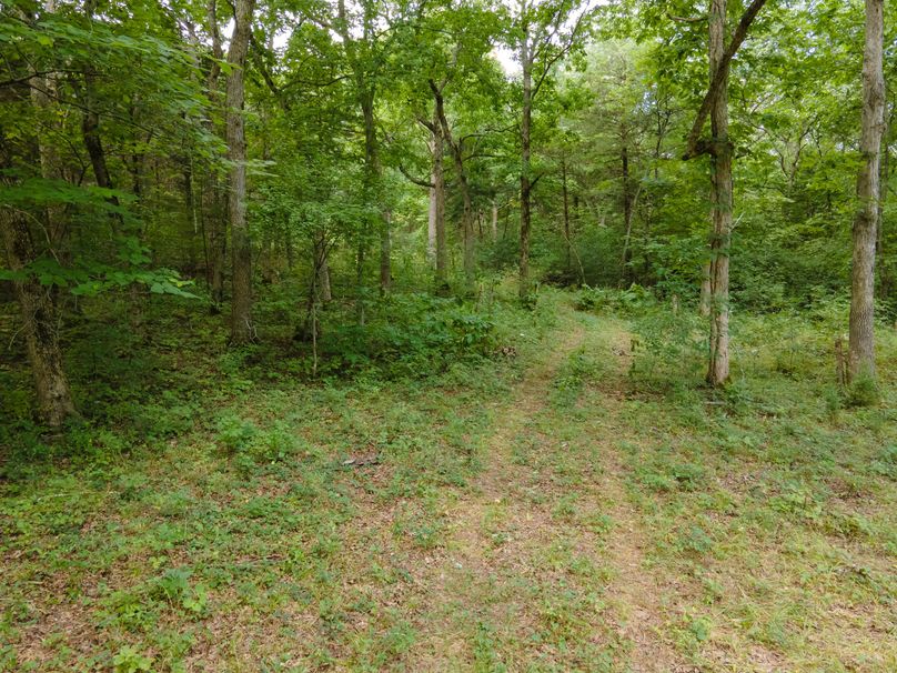 David St. Elizabeth 0071