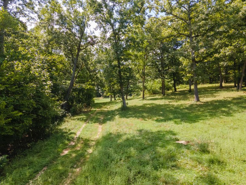 David St. Elizabeth 0011(1)