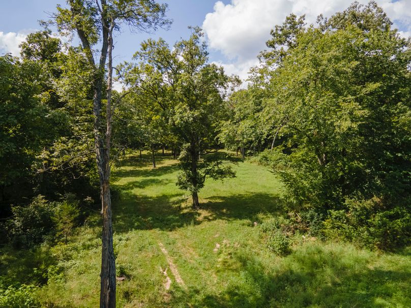 David St. Elizabeth 0002