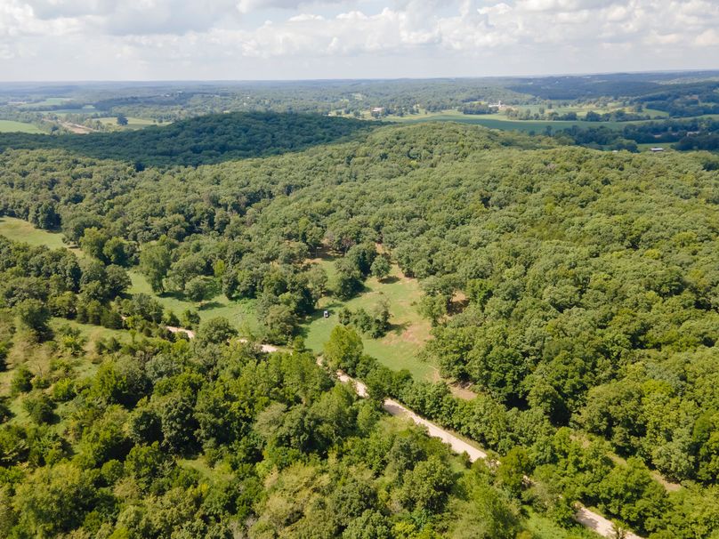 David St. Elizabeth 0019