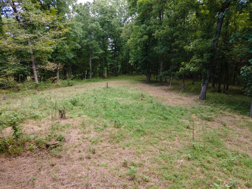 David St. Elizabeth 0059