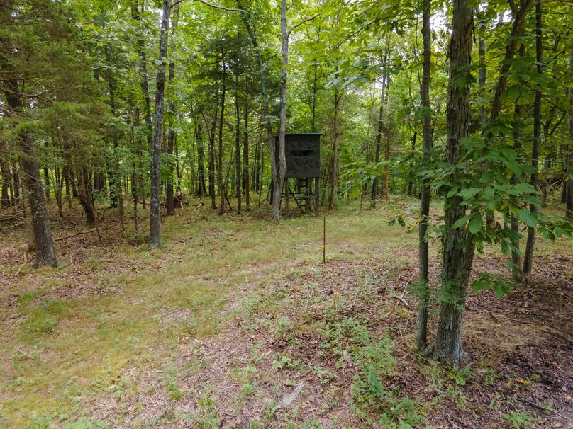 David St. Elizabeth 0056