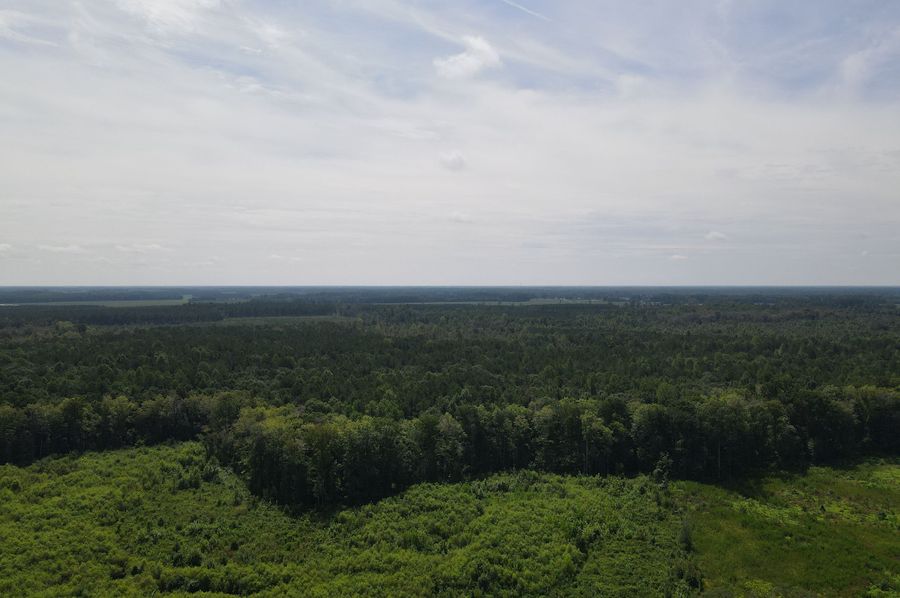 DJI_0623