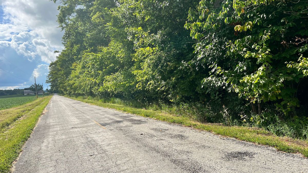 Great All Wooded Recreational Tract In NE Ohio Whitetail Properties