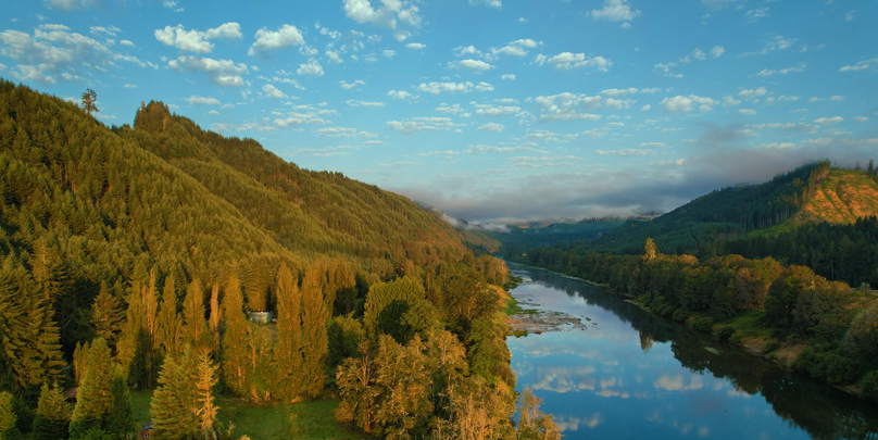 1.61 Douglas Ward side view