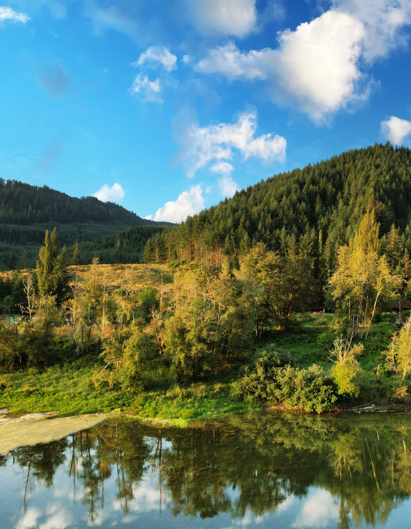 1.61Douglas  Ward river plot 1