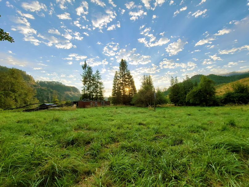 1.61 Douglas Ward 32