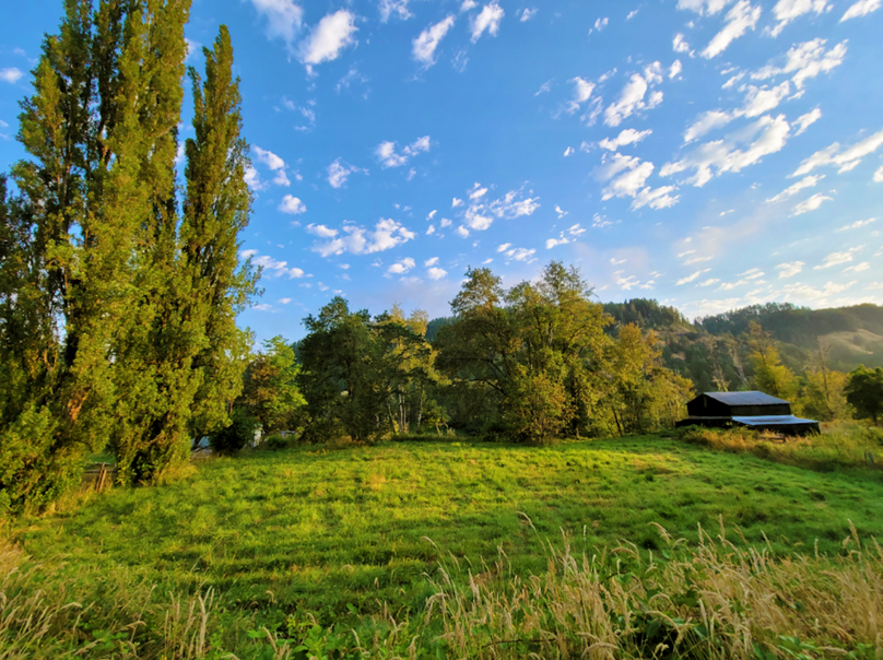 1.6 Douglas Ward RLMS5