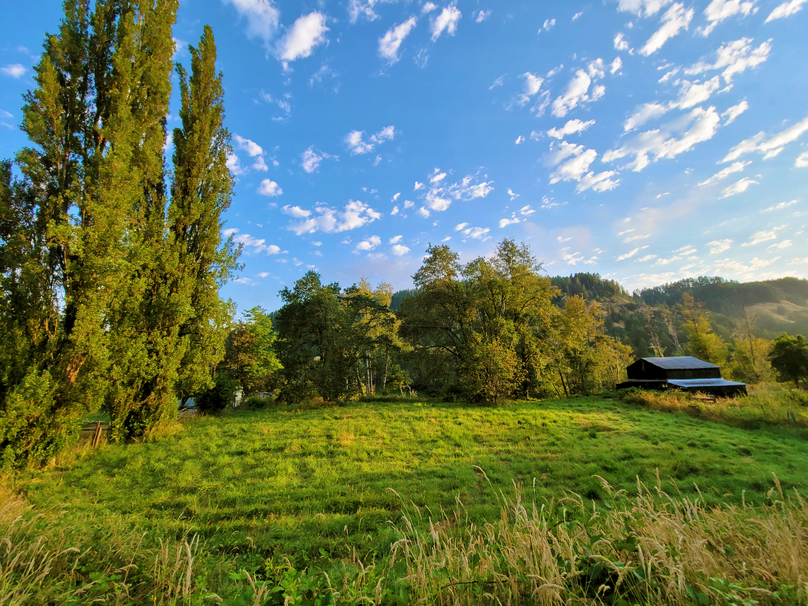 1.61 Douglas Ward 31