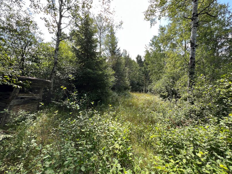 Iron_MI_40_Paquette-22