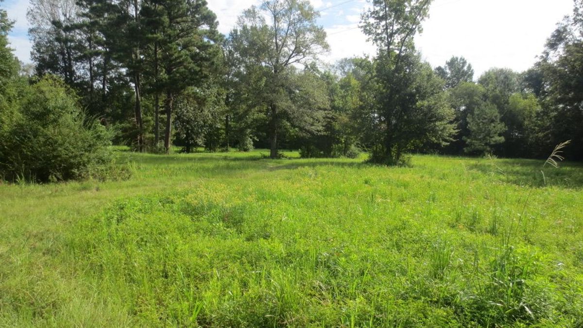 Small Tract With Water And Power | Whitetail Properties