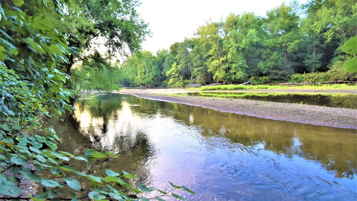 Riverfront Hunting & Recreational Property In Monterey, Indiana Whitetail Properties