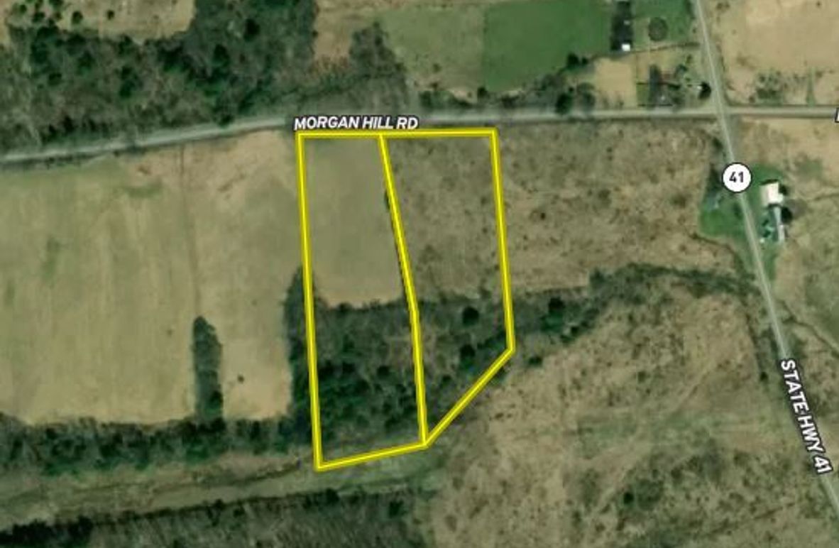 Cheango11.44KamelGoogle