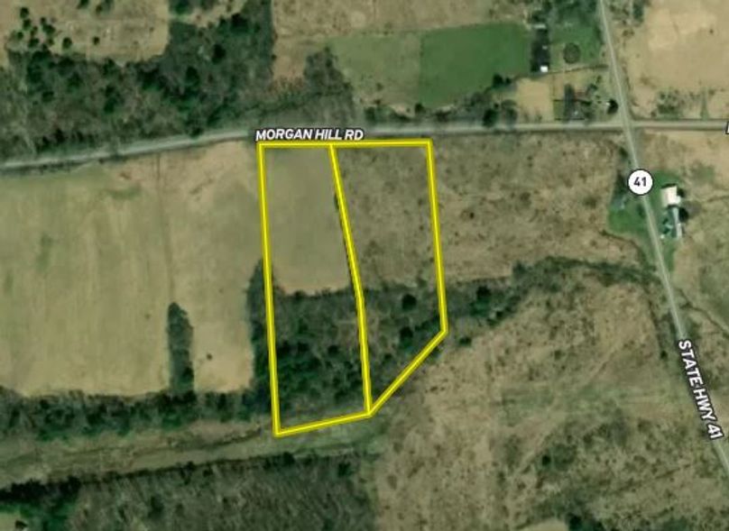 Cheango11.44KamelGoogle