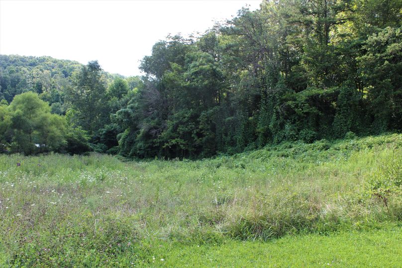 009 open field area on the south portion of the property