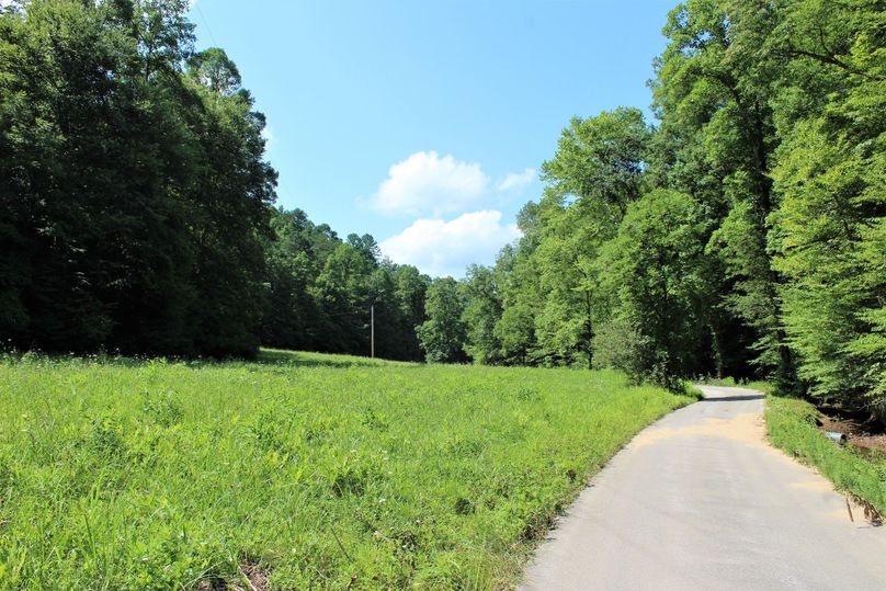001 one of the main field areas near the south portion of the property